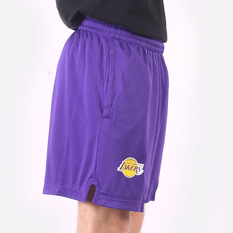 Мужские шорты Nike Los Angeles Lakers NBA Shorts (DN4629-504) купить по ...